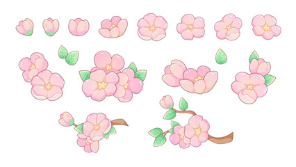 Blooming cherry blossom branch. Cherry blossoms, a traditional Japanese tree. Blooming branches of cherry, apple, and spring plants © Sonika