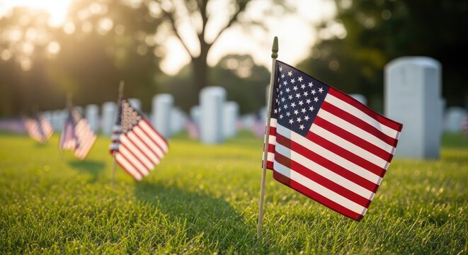 Flag day celebration in american cemetery with patriotic flags