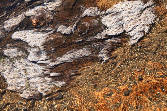 Thermophilic bacteria (Chloroflexus aurantiacus) is defined as a filamentous anoxygenic phototrophic bacterium, originally identified in hot springs.
Chae Son National Park ,Lampang Province.
THAILAND