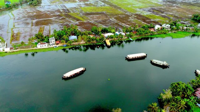 Areal short of Paddy Field Kuttanad Taluk, Alappuzha, Kerala Rice cultivation in Kuttanad ,alappy