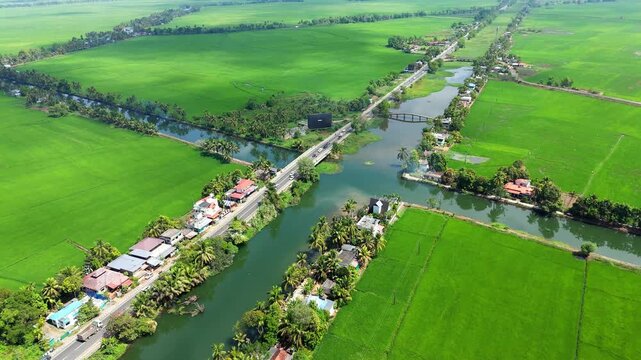 The Changanassery-Alleppey road ,Rice cultivation in Kuttanad near AC Road