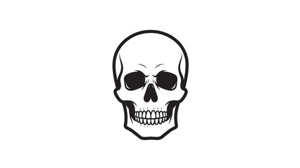 Fototapeta premium Front View Human Skull on WHITE BACKGROUND – Skeleton Head Vector Illustration