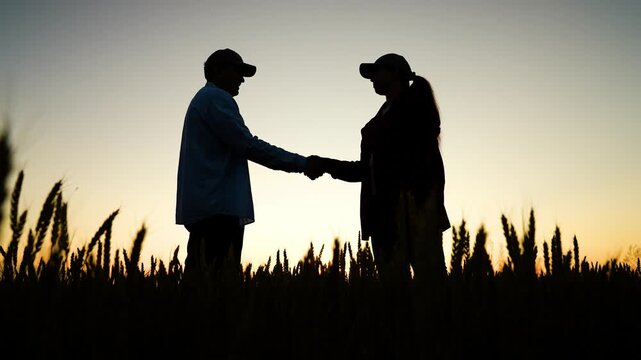 woman and man farmer team discussing tablet beside wheat field., wheatfield handshake symbolizes rural trust, man observes across wheat field., handshake of trust in agricultural heartland, woman