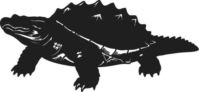 American Alligator Snapping Turtle on white background.