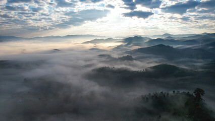 Fototapeta premium Aerial view of mountains and forest with the sea of fog before sunrise by drone