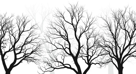 Fototapeta premium Black silhouettes of bare winter trees with complex branch networks against a white background featuring misty faded trees for depth and atmosphere.