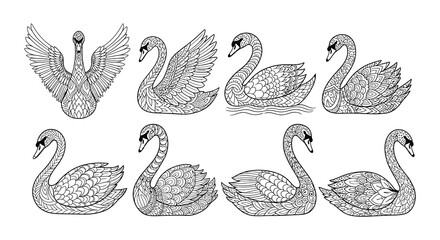 Intricate black and white illustrations of swans in various poses © Begum