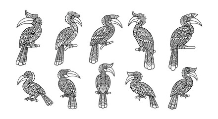 Intricate black and white illustrations depicting various hornbill bird species © Begum