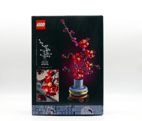 Fototapeta premium Bologna - Italy - March 3, 2026: LEGO Botanicals Plum Blossom set 10369 rear packaging isolated on white background.