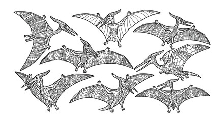 A collection of intricately detailed pterosaur illustrations in black and white © Begum