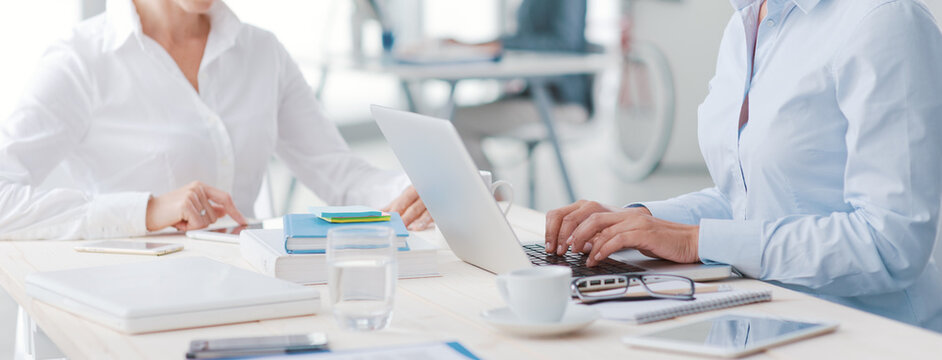 Professional women working together on laptops in a modern bright office