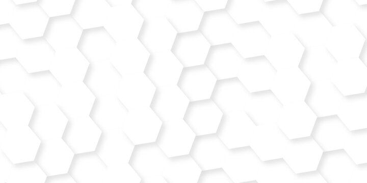 Abstract white grid presentation surface mosaic and tiles minimal tech bee website science element grid overlay white hexagon futuristic technology geometric texture background.