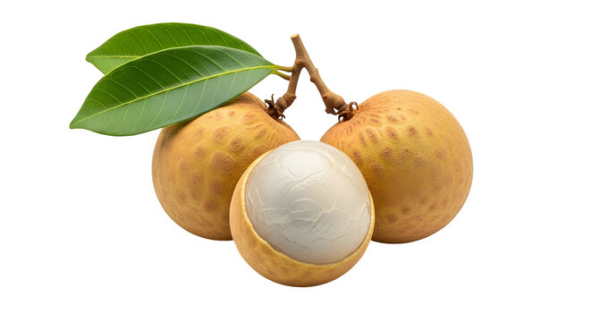 Longan fruit with green leaves on a black background