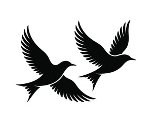 Obraz premium Two black birds flying in the air with their wings spread wide on a white background