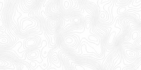 Seamless grid landscape white and gray area curve topography elevation map design. wave diagram contour stripe spiral composition discovery paper surface design. © haven lklkj11