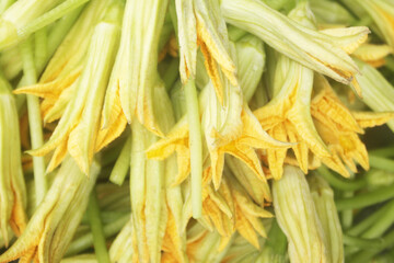 Many pumpkin flowers close up