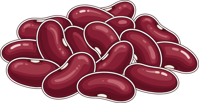 Pile of Fresh Kidney Beans, Healthy Legume Illustration