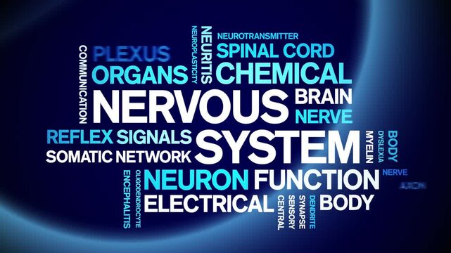 Nervous System animated word cloud-text design animation tag kinetic typography seamless loop.