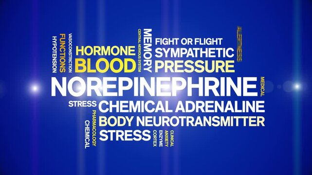 Norepinephrine animated word cloud-text design animation tag kinetic typography seamless loop.