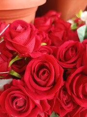 Obraz premium Red rose flowers bouquet close up romantic floral background