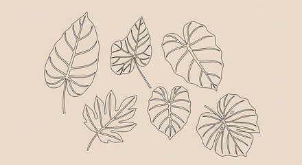 Fototapeta premium Monstera leaves on beige background.