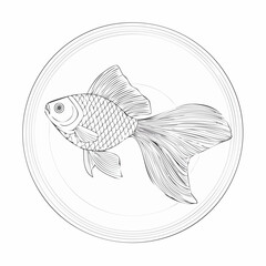 Fototapeta premium Vector illustration of a fish isolated on a white background in a simple aquatic design