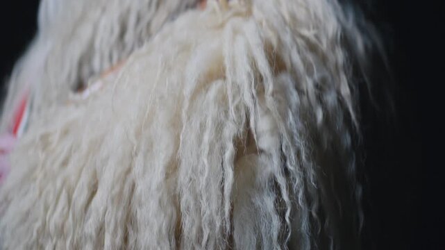 Close up detail of bell attached to traditional Kurent costume during Pust carnival Slovenia