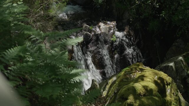Waterfall flowing over mossy rocks in forest Castanheira de Pera Portugal