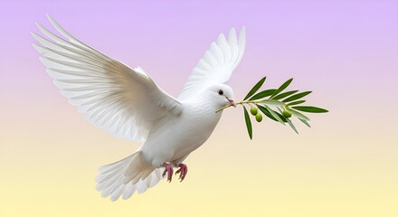 Obraz premium A majestic white dove soars through a gradient sky, holding an olive branch, symbolizing peace and