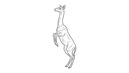 Giraffe in Sketch: A minimalist monochrome sketch of a giraffe captured standing with it tall neck reaching skyward, evoking a sense of grace and elegance. © Abu