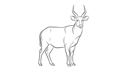 Obraz premium Sketch of the African Antelope: An elegant drawing of an African antelope, showcasing its graceful form and the distinctive curved horns. 