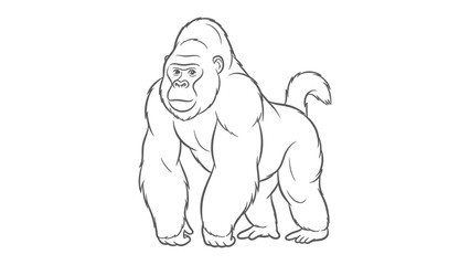 Gorilla illustration : A strong gorilla stands boldly in a display of power. Captured with simple lines © Hasib