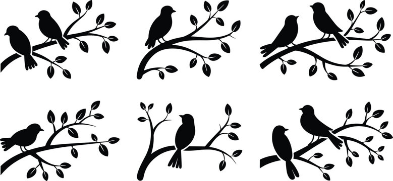 Birds on branch silhouette set vector illustration, black avian clipart collection with perched birds and tree branches, nature wildlife design elementsPrint