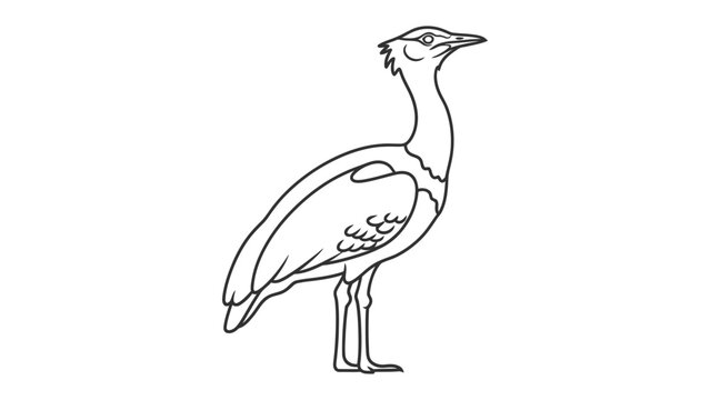 Bustard Outline Drawing: A simplified line drawing of a large bird, possibly a bustard, with its distinctive features clearly outlined against a plain background.