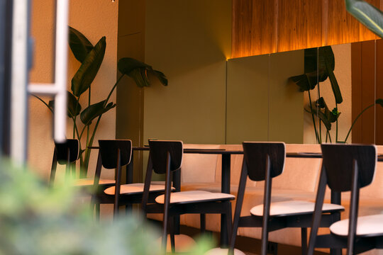 Modern restaurant interior with lush plants and warm ambient lighting