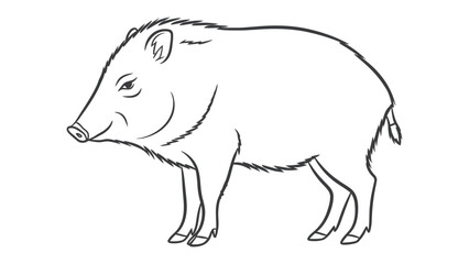 Fototapeta premium Peccary Illustration: A black and white line drawing of a peccary, also known as a javelina, showcasing its distinct snout and coarse hair.