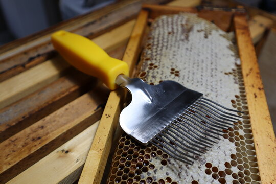Uncapping fork laying on top of some uncapped honey comb in a super frame from a beehive