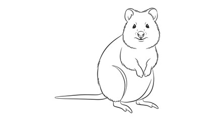Fototapeta premium Quokka Sketch: A delightful hand-drawn quokka illustration, showcasing its characteristic grin and charming posture.