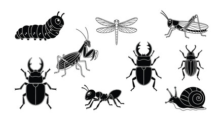 Collection of various black and white insect illustrations displayed on white © nurjahan