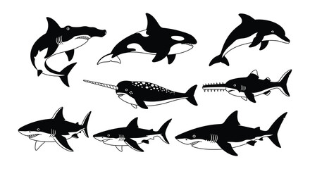 A collection of various marine predators in a black and white style © nurjahan
