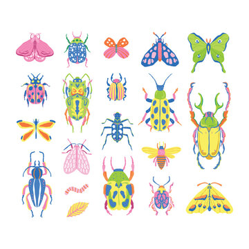 Bugs abstract collection in doodle style