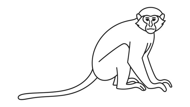 Monkey Outline: A minimalist line drawing of a monkey, showcasing its seated posture and long tail on a plain background.