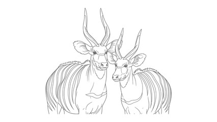 Elegant Antelopes in Line Art: Two graceful antelopes, rendered in delicate line art, stand side-by-side, showcasing their majestic horns and elegant striped bodies.