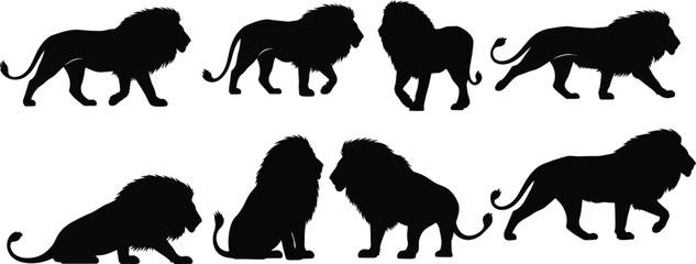 Collection of lion silhouettes in various poses © Md Mamunur