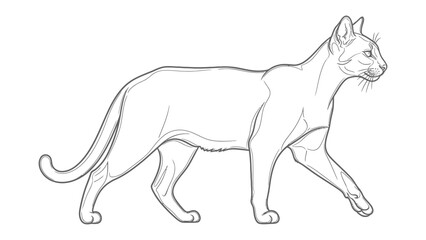 Fototapeta premium Contour Cat Stroll: An elegant contour drawing of a sleek cat in mid-stride, showcasing the graceful lines and subtle details of its anatomy.