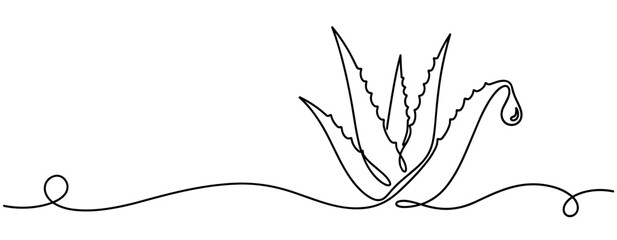 Fototapeta premium Aloe vera plant with droplet in continuous line illustration. none editable strokes