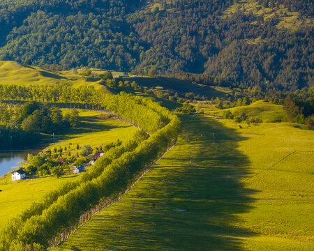 Aerial view of a vibrant green valley, with a line of trees casting long shadows, nestled between dark, forested hills, Vintileasca, Vrancea, Romania.
