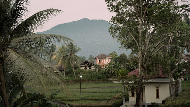 Romantic couple walking together in a beautiful lush garden during prewedding session