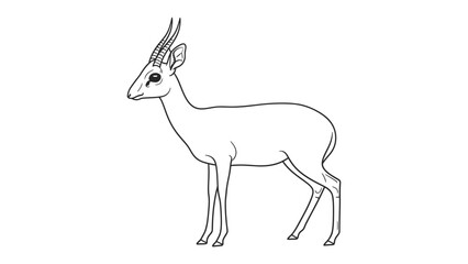 Obraz premium Gazelle contour outline: A simple outline drawing of a gazelle in profile.