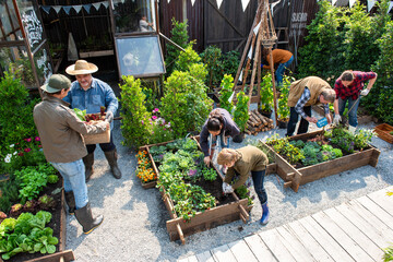 Community gardening in raised beds
